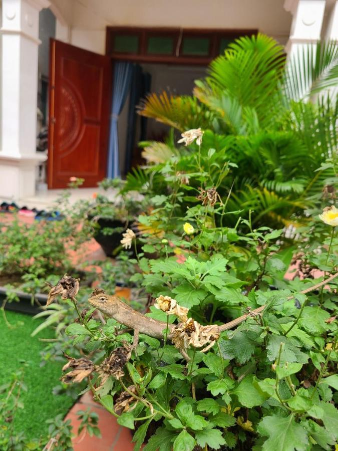 An Homestay Vinh Yen Kültér fotó